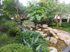 DSCF8188.jpg