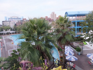DSCF8195.jpg