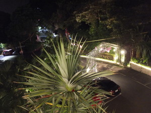 DSCF8220.jpg
