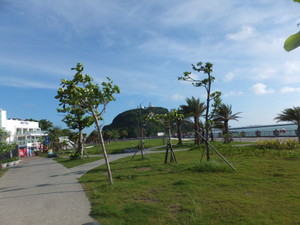 DSCF8276.jpg