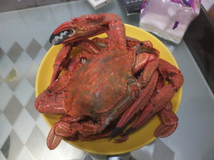 DSCF8279.jpg