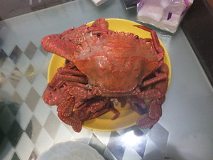 DSCF8280.jpg