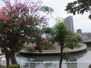 DSCF8294.jpg