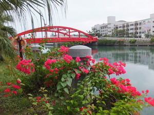 DSCF8296.jpg