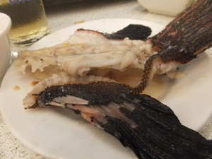 DSCF8317.jpg