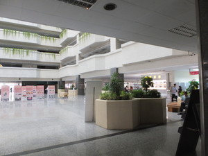 DSCF8337.jpg