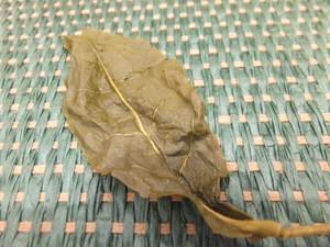 DSCF8350.jpg