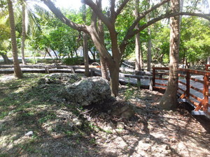 DSCF8730.jpg