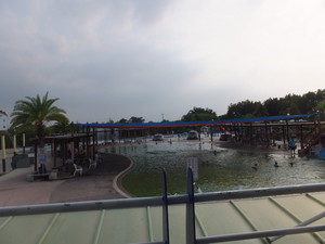 DSCF8917.jpg