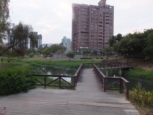 DSCF9241.jpg