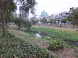 DSCF9243.jpg