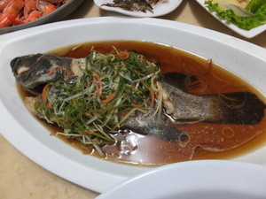 DSCF9263.jpg