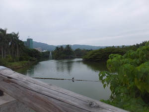 DSCF9294.jpg