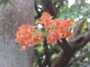 DSCF9299.jpg
