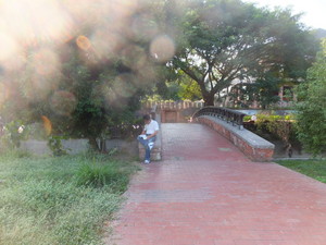 DSCF9486.jpg