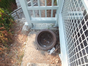 DSCF9495.jpg
