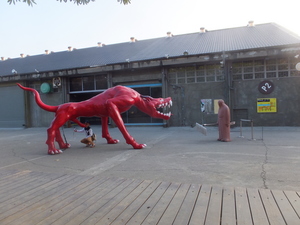 DSCF9552.JPG
