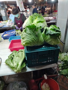 IMG20240207110614.jpg