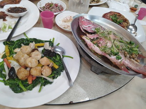 IMG20240212192833.jpg