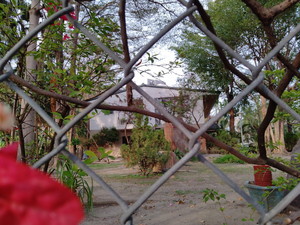 IMG20240215165904.jpg