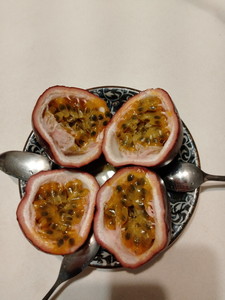 IMG20240826123718.jpg