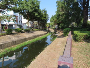 IMG_0233.jpg