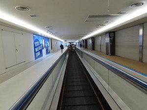 IMG_0653.jpg