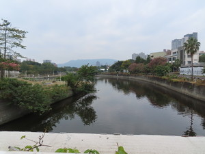 IMG_0737.jpg