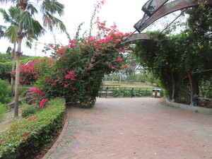 IMG_0740.jpg