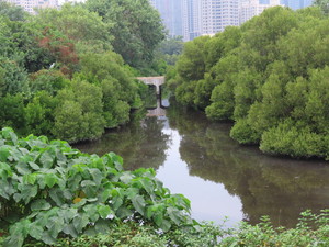 IMG_0742.jpg