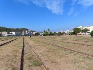 IMG_0776.jpg