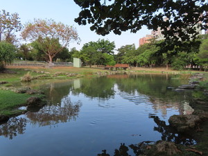 IMG_0849.jpg