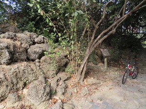 IMG_0851.jpg