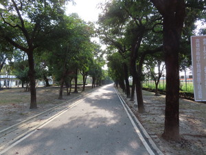 IMG_0859.jpg