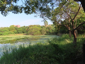 IMG_0870.jpg