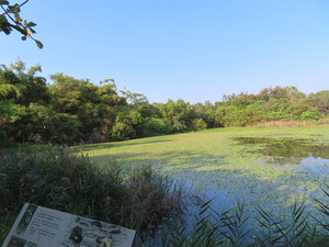 IMG_0872.jpg