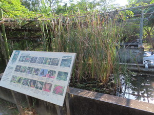 IMG_0873.jpg