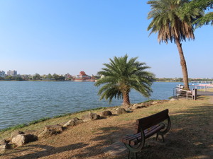 IMG_0878.jpg