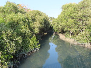 IMG_0959.jpg