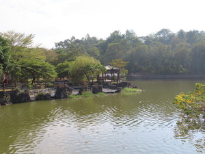 IMG_0981.jpg