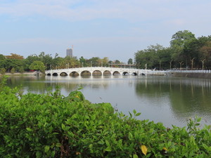 IMG_0995.jpg