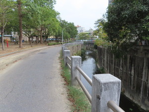 IMG_1000.jpg