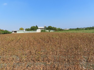 IMG_1032.jpg