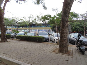 IMG_1043.jpg