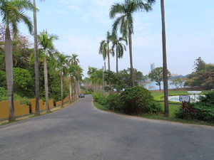 IMG_1154.jpg