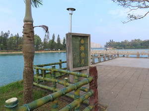 IMG_1163.jpg