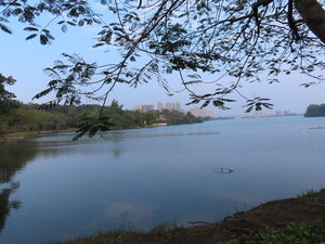 IMG_1171.jpg