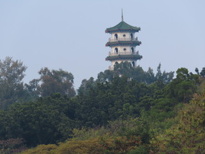 IMG_1176.jpg
