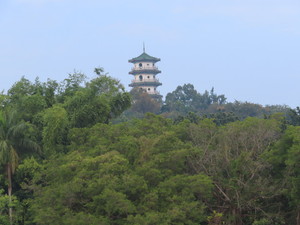 IMG_1182.jpg
