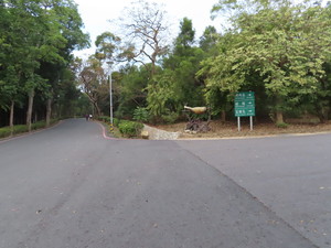 IMG_1185.jpg